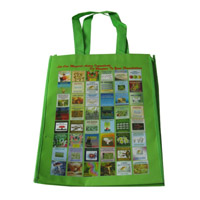 邵阳LB11覆膜无纺布广告袋