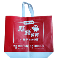 邵阳LB37培训班广告袋